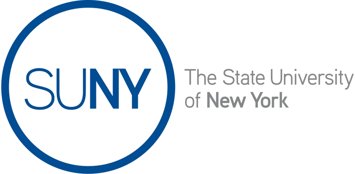 New York University