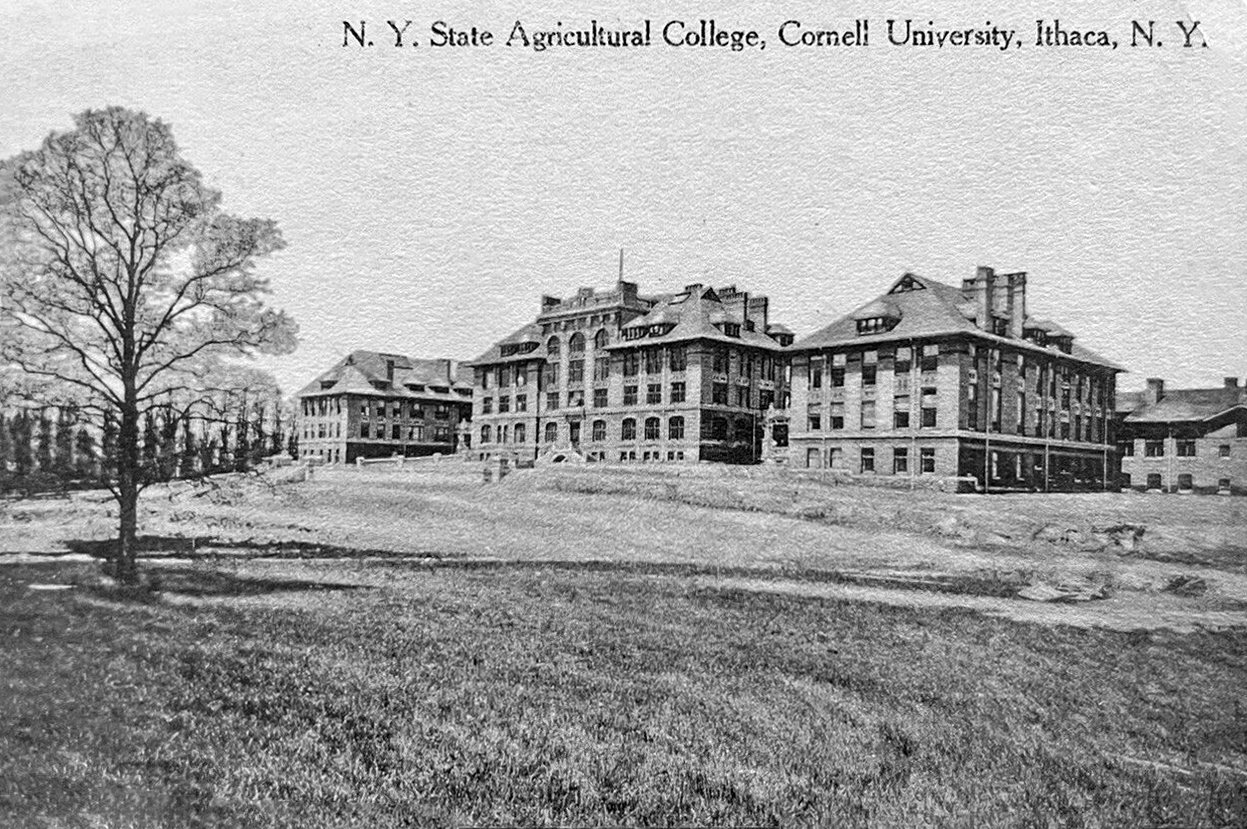 State University of New York